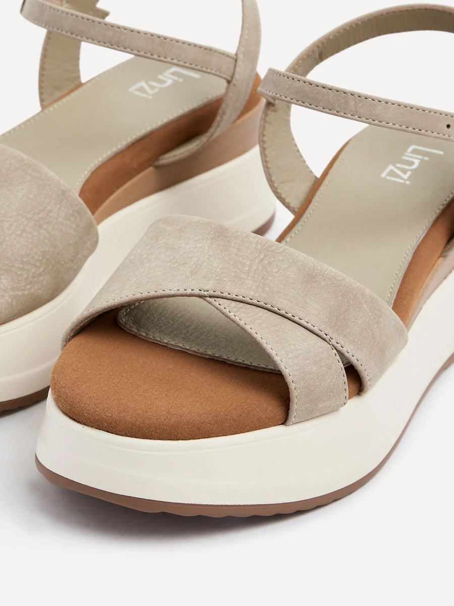 MAPLE 6 MAPLE - Image 4